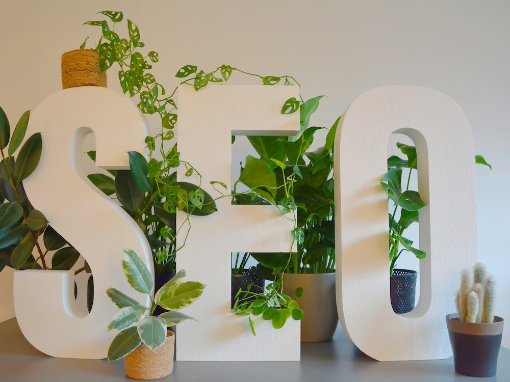 SEO Strategy & Organic Growth for Indian Fashion E-commerce Brand